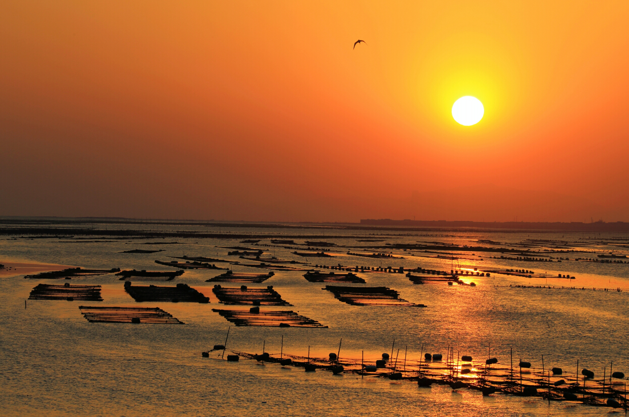 來(lái)廈門(mén)，暢游“小嶝、大擔(dān)”！