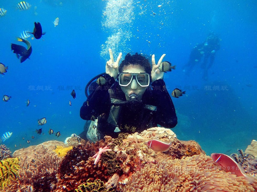 大圖02.jpg 大圖02.jpg